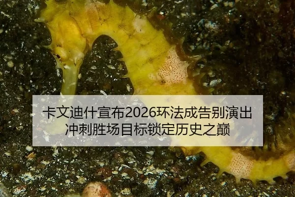 ka-wen-di-shen-xuan-bu-huan-fa-cheng-gao-bie-yan-chu-chong-ci-sheng-chang-mu-biao-suo-ding-li-shi-zhi-dian-2-392.jpg